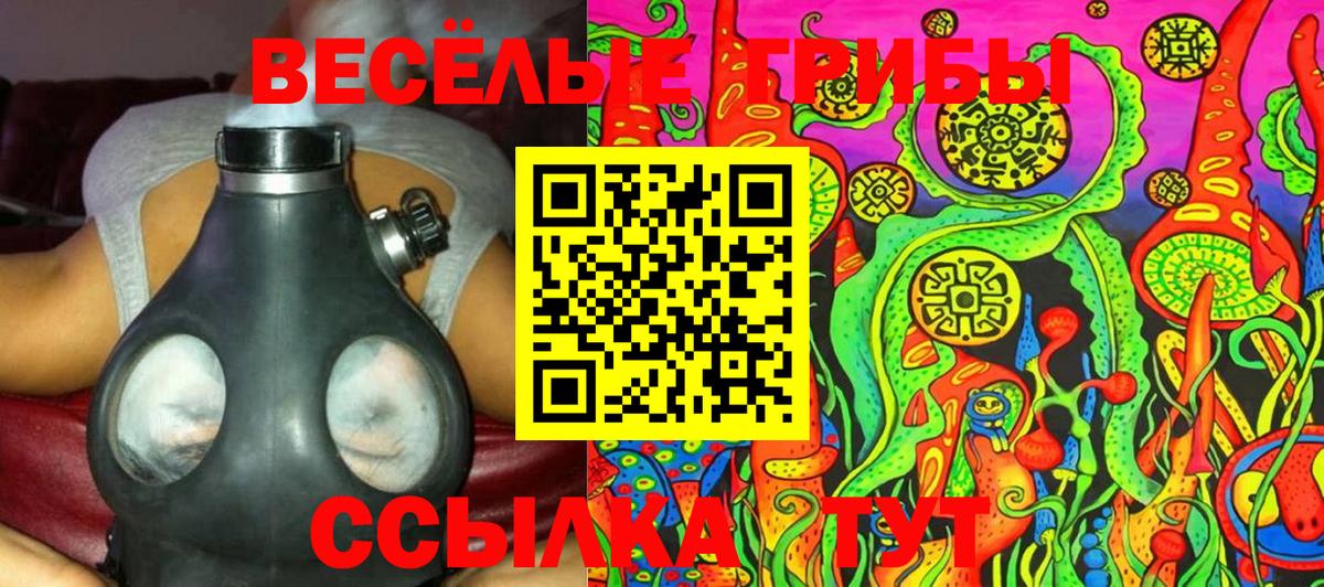 Галлюциногенные грибы Psilocybine cubensis Арсеньев