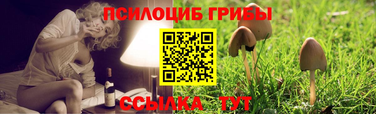 Галлюциногенные грибы ЛСД  Псилоцибиновые грибы ЛСД  Вход с VPN  Арсеньев 